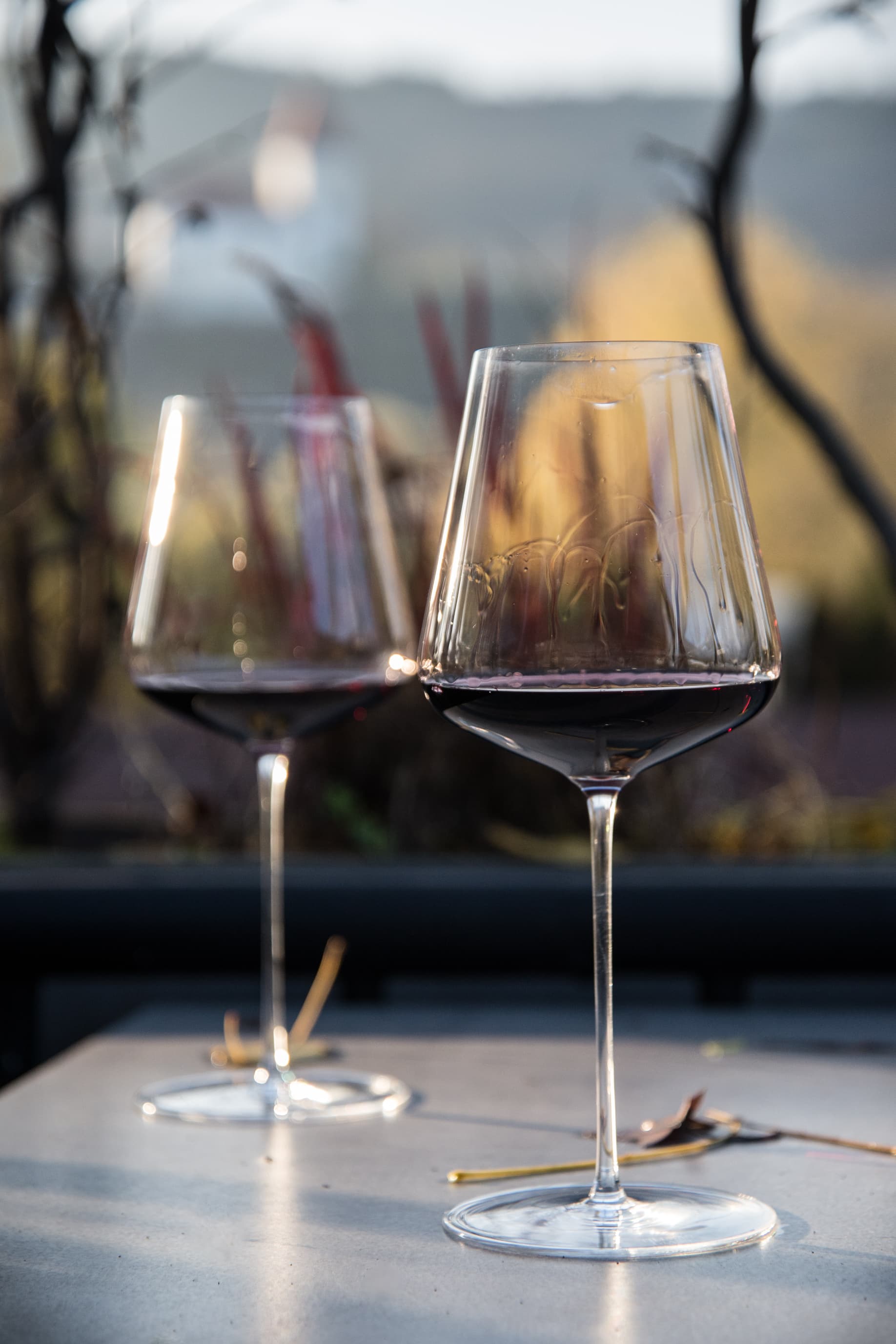 Bordeaux glass with red wine